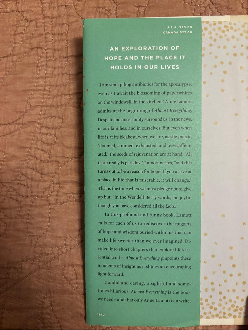 Almost Everything: Notes on Hope by Anne Lamott - Hardcover - Picture 2 of 3